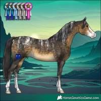 Horse Color:Powder White Buckskin Sabino Rabicano 