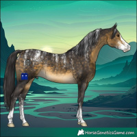 Horse Color:Powder White Buckskin Sabino Rabicano
