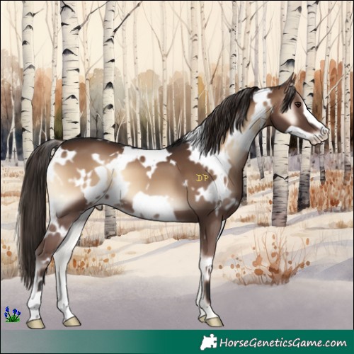 Horse Color:White Spotted Liver Red Onyx Frame 
