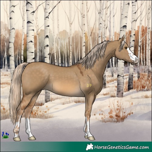 Horse Color:Chocolate Palomino Dun 