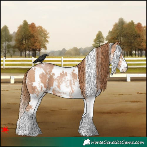 Horse Color:White Spotted Bay Pearl 
