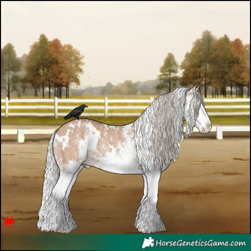 Horse Color:White Spotted Silver Bay Dun Splash 