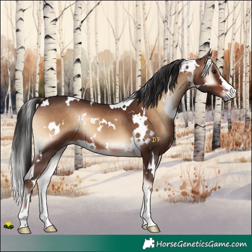 Horse Color:White Spotted Liver Red Onyx 