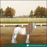 Horse Color:White Spotted Bay Pearl Dun Splash 