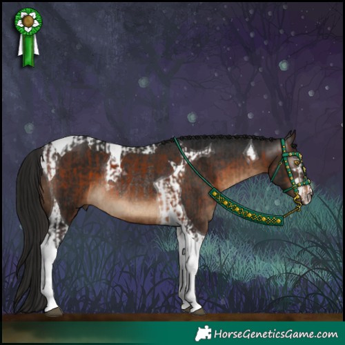Horse Color:Brown Tobiano and Gray Brown Tobiano Rabicano