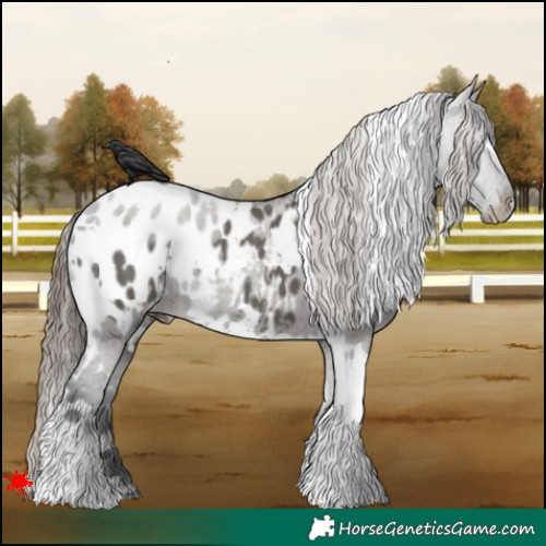 Horse Color:White Spotted Grullo Blanket 