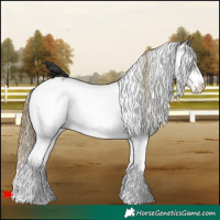 Horse Color:White Spotted Smoky Grullo Near Leopard