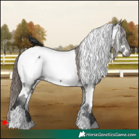 Horse Color:White Spotted Grullo Near Fewspot 