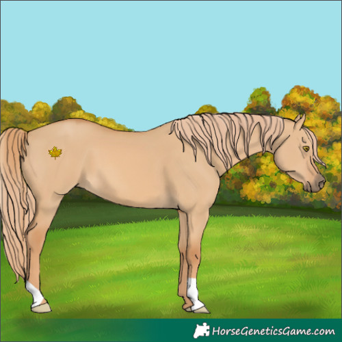 Horse Color:Red Dun