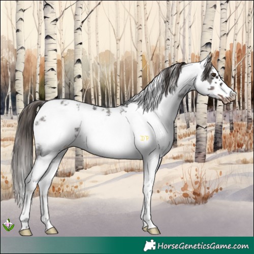 Horse Color:Liver Chestnut Sabino Frame Blanket 