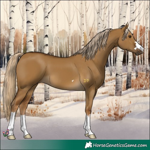 Horse Color:Chocolate Palomino Dun 