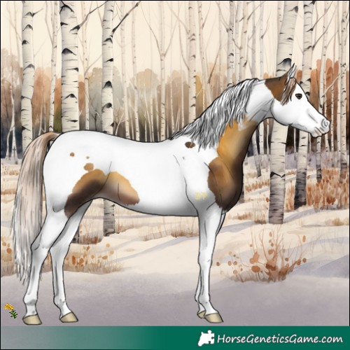 Horse Color:Chocolate Palomino Onyx Splash Tobiano