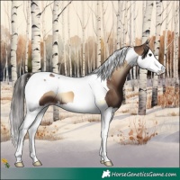 Horse Color:Liver Red Onyx Splash Tobiano