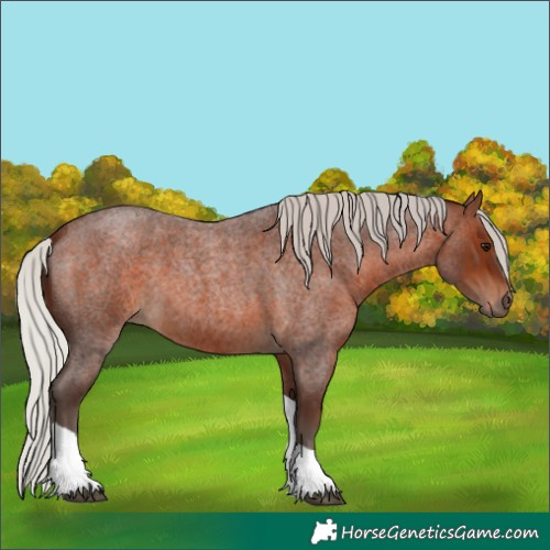 Horse Color:Silver Brown Roan Tobiano 