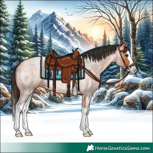 Horse Color:Bay Roan Splash Rabicano