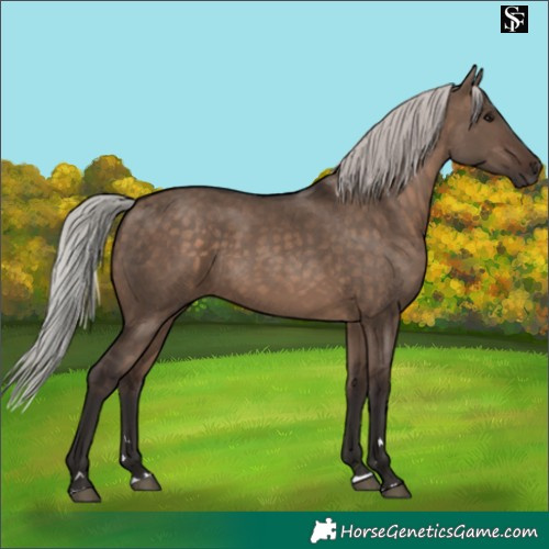 Horse Color:Silver Brown Dun 