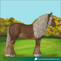 Horse Color:Chocolate Palomino