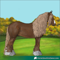 Horse Color:Chocolate Palomino 