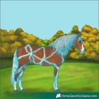 Horse Color:Thunderstruck Silver Brown 
