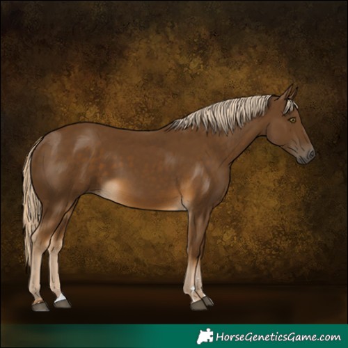 Horse Color:Chocolate Palomino 