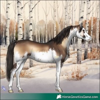 Horse Color:White Spotted Liver Red Onyx
