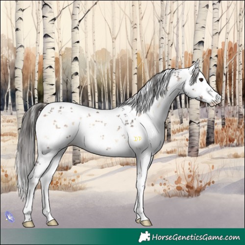 Horse Color:White Spotted Liver Red Onyx Sabino 