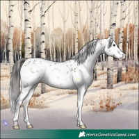 Horse Color:White Spotted Liver Red Onyx Sabino