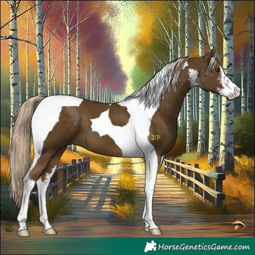 Horse Color:White Spotted Chocolate Palomino Mushroom Tobiano 