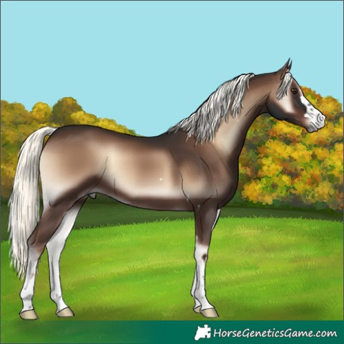 Horse Color:Liver Red Onyx Mushroom 