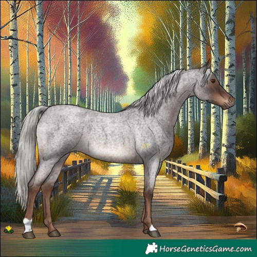 Horse Color:Liver Red Roan Mushroom 