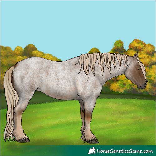 Horse Color:Chocolate Palomino Roan 