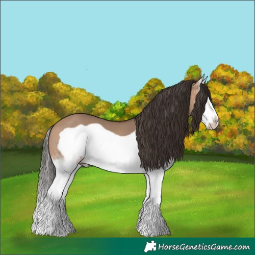 Horse Color:White Spotted Bay Dun Splash Frame 