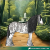 Horse Color:Grullo Sabino Splash Rabicano 