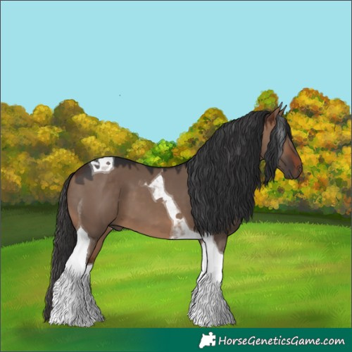 Horse Color:Brown Dun Tobiano 