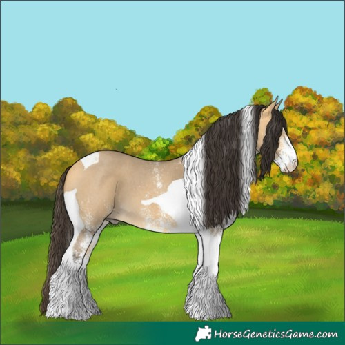 Horse Color:White Spotted Buckskin Dun Tobiano 