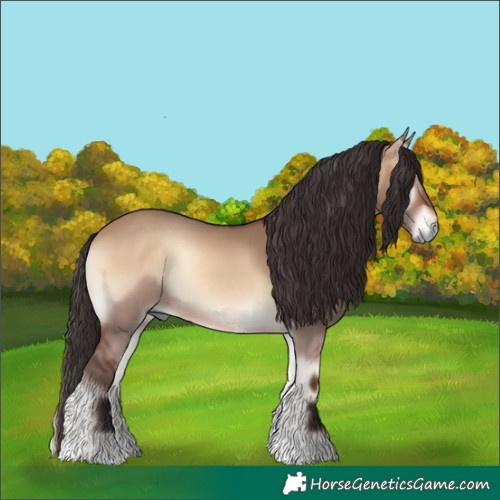 Horse Color:Bay Onyx Rabicano 