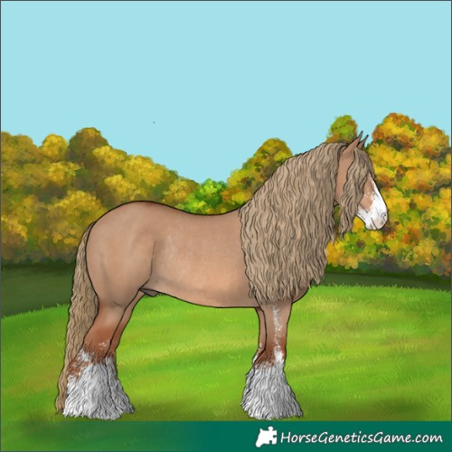 Horse Color:Red Dun Sabino Rabicano 