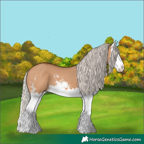 Horse Color:Silver Bay Dun Sabino Splash 