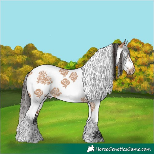 Horse Color:Bay Dun Splash Tobiano Frame 