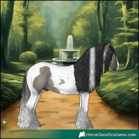 Horse Color:Grullo Tobiano Rabicano