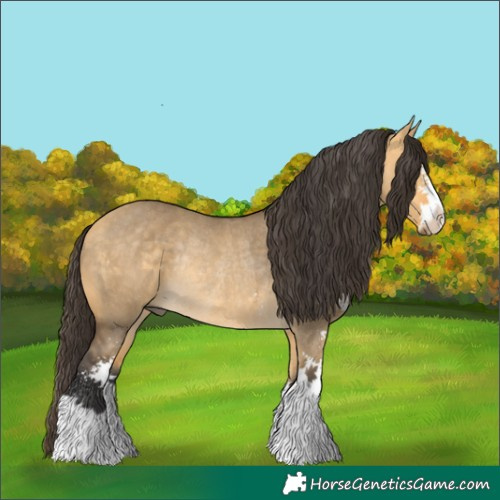 Horse Color:Buckskin Dun Sabino Rabicano 