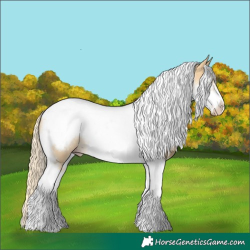 Horse Color:Gold Cream Champagne Dun Tobiano Frame Rabicano 