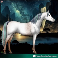 Horse Color:Gray Painted Chestnut