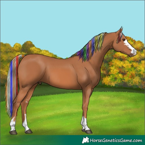 Horse Color:Painted Chestnut 