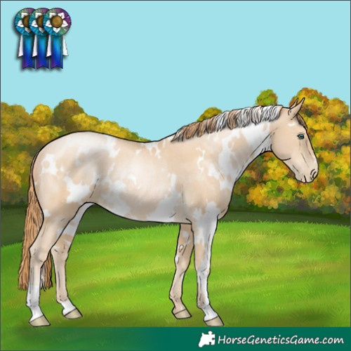 Horse Color:White Spotted Smoky Black Pearl Rabicano