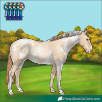 Horse Color:White Spotted Smoky Black Pearl Rabicano