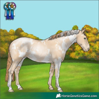 Horse Color:White Spotted Smoky Black Pearl Rabicano 
