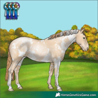 Horse Color:White Spotted Smoky Black Pearl Rabicano