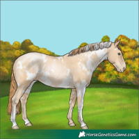 Horse Color:White Spotted Smoky Black Pearl Rabicano 