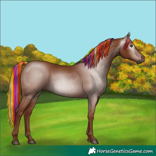 Horse Color:Gray Painted Chestnut 